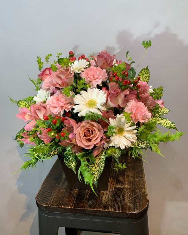 #arrangement 
#flowerarrangement 
#gift 
#お祝い花 
#花屋