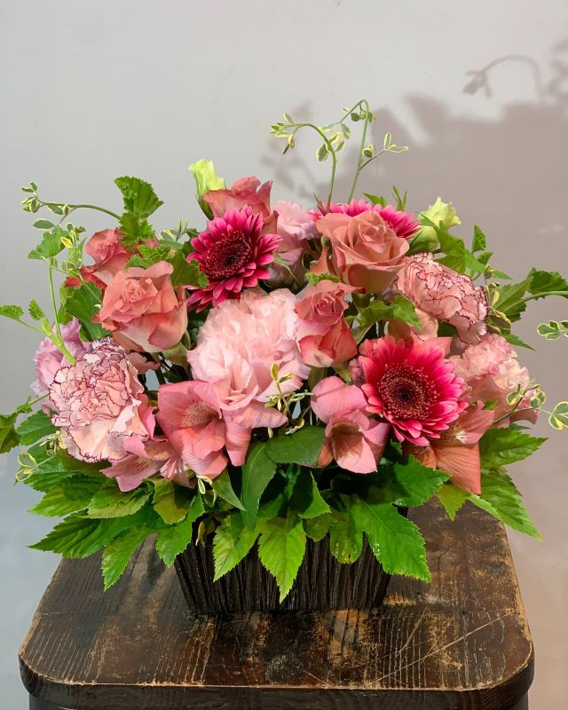 #arrangement 
#flowerarrangement 
#gift 
#お祝い花 
#花屋