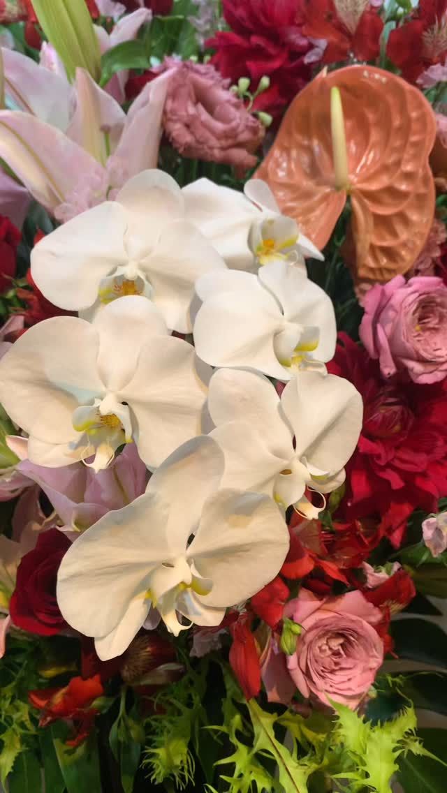 #garden_shinbashi 
#有限会社ガーデン 
#胡蝶蘭ガーデン新橋
#胡蝶蘭
#こちょうらん
#コチョウラン
#胡蝶蘭ギフト
#胡蝶蘭東京
#花屋
#東京花屋
#港区花屋
#新橋花屋
#花屋さん
#フラワー
#フラワーアレンジメント
#フラワースタンド
#フラワーデザイン
#flowers
#flowerarrangement 
#flowermagic
#floraldesign
#flowerslovers
#flowerpower
#florist
#flowerstagram
#花のある暮らし
#花が好きな人と繋がりたい