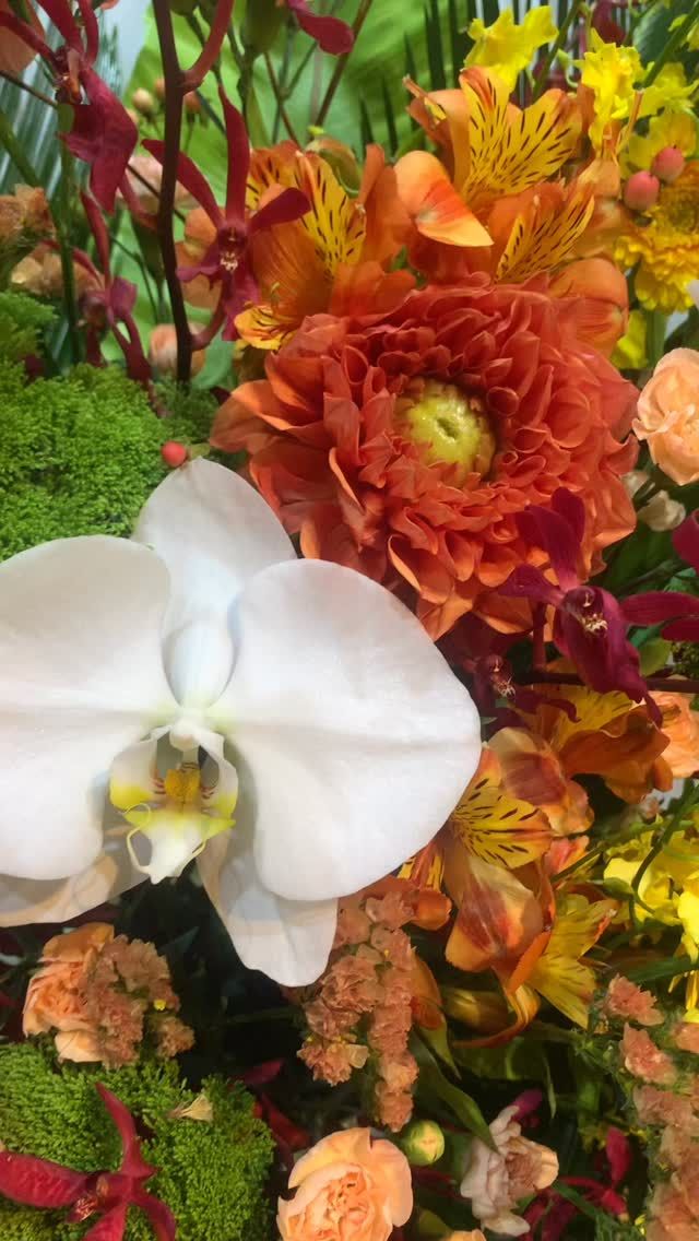 #胡蝶蘭
#phalaenopsisorchid
#phalaenopsis 
#gift 
#花屋 
#garden_shinbashi 
#有限会社ガーデン 
#胡蝶蘭ガーデン新橋
#胡蝶蘭
#こちょうらん
#コチョウラン
#胡蝶蘭ギフト
#胡蝶蘭東京
#花屋
#東京花屋
#港区花屋
#新橋花屋
#花屋さん
#フラワー
#フラワーアレンジメント
#フラワースタンド
#フラワーデザイン
#flowers
#flowerarrangement 
#flowermagic
#floraldesign
#flowerslovers
#flowerpower
#florist
#flowerstagram
#花のある暮らし
#花が好きな人と繋がりたい