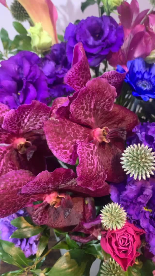 #胡蝶蘭
#phalaenopsisorchid
#phalaenopsis 
#gift 
#花屋 
#garden_shinbashi 
#有限会社ガーデン 
#胡蝶蘭ガーデン新橋
#胡蝶蘭
#こちょうらん
#コチョウラン
#胡蝶蘭ギフト
#胡蝶蘭東京
#花屋
#東京花屋
#港区花屋
#新橋花屋
#花屋さん
#フラワー
#フラワーアレンジメント
#フラワースタンド
#フラワーデザイン
#flowers
#flowerarrangement 
#flowermagic
#floraldesign
#flowerslovers
#flowerpower
#florist
#flowerstagram
#花のある暮らし
#花が好きな人と繋がりたい