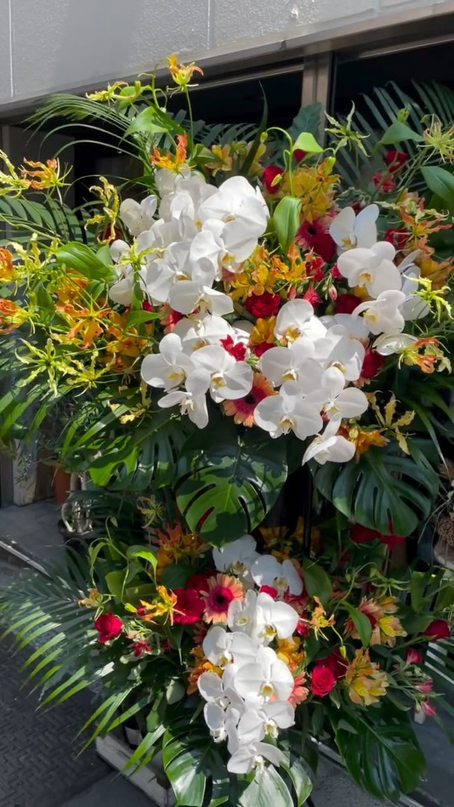 胡蝶蘭はじめ、様々なアイテムをご用意してお客様をお待ちしております。 #flowers#flowerarrangement#flowermagic
#floraldesign#flowerslovers#flowerpower
#florist#flowerstagram