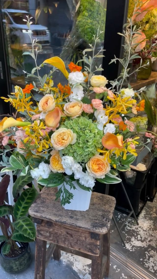 胡蝶蘭はじめ、様々なアイテムをご用意してお客様をお待ちしております。 #flowers#flowerarrangement#flowermagic
#floraldesign#flowerslovers#flowerpower
#florist#flowerstagram