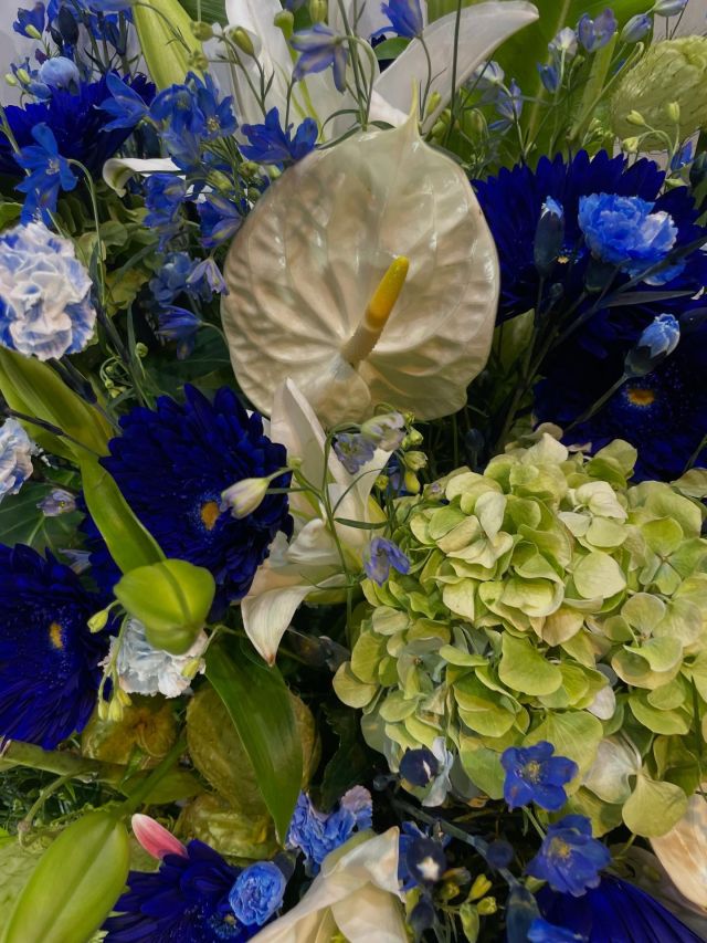 胡蝶蘭はじめ、様々なアイテムをご用意してお客様をお待ちしております。 #flowers#flowerarrangement#flowermagic
#floraldesign#flowerslovers#flowerpower
#florist#flowerstagram