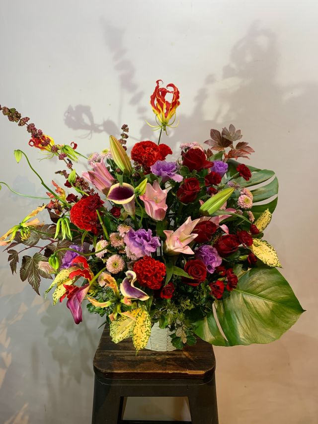 #胡蝶蘭
#phalaenopsisorchid
#phalaenopsis 
#gift 
#花屋 
#garden_shinbashi 
#有限会社ガーデン 
#胡蝶蘭ガーデン新橋
#胡蝶蘭
#こちょうらん
#コチョウラン
#胡蝶蘭ギフト
#胡蝶蘭東京
#花屋
#東京花屋
#港区花屋
#新橋花屋
#花屋さん
#フラワー
#フラワーアレンジメント
#フラワースタンド
#フラワーデザイン
#flowers
#flowerarrangement 
#flowermagic
#floraldesign
#flowerslovers
#flowerpower
#florist
#flowerstagram
#花のある暮らし
#花が好きな人と繋がりたい