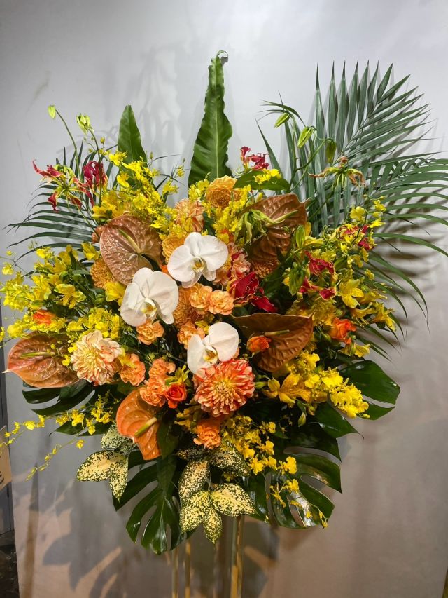 #胡蝶蘭
#phalaenopsisorchid
#phalaenopsis 
#gift 
#花屋 
#garden_shinbashi 
#有限会社ガーデン 
#胡蝶蘭ガーデン新橋
#胡蝶蘭
#こちょうらん
#コチョウラン
#胡蝶蘭ギフト
#胡蝶蘭東京
#花屋
#東京花屋
#港区花屋
#新橋花屋
#花屋さん
#フラワー
#フラワーアレンジメント
#フラワースタンド
#フラワーデザイン
#flowers
#flowerarrangement 
#flowermagic
#floraldesign
#flowerslovers
#flowerpower
#florist
#flowerstagram
#花のある暮らし
#花が好きな人と繋がりたい