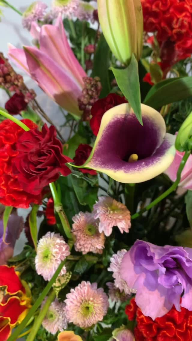 #胡蝶蘭
#phalaenopsisorchid
#phalaenopsis 
#gift 
#花屋 
#garden_shinbashi 
#有限会社ガーデン 
#胡蝶蘭ガーデン新橋
#胡蝶蘭
#こちょうらん
#コチョウラン
#胡蝶蘭ギフト
#胡蝶蘭東京
#花屋
#東京花屋
#港区花屋
#新橋花屋
#花屋さん
#フラワー
#フラワーアレンジメント
#フラワースタンド
#フラワーデザイン
#flowers
#flowerarrangement 
#flowermagic
#floraldesign
#flowerslovers
#flowerpower
#florist
#flowerstagram
#花のある暮らし
#花が好きな人と繋がりたい