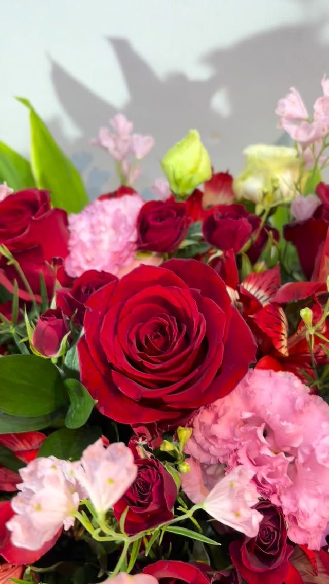 #arrangement 
#flowerarrangement 
#gift 
#お祝い花 
#花屋