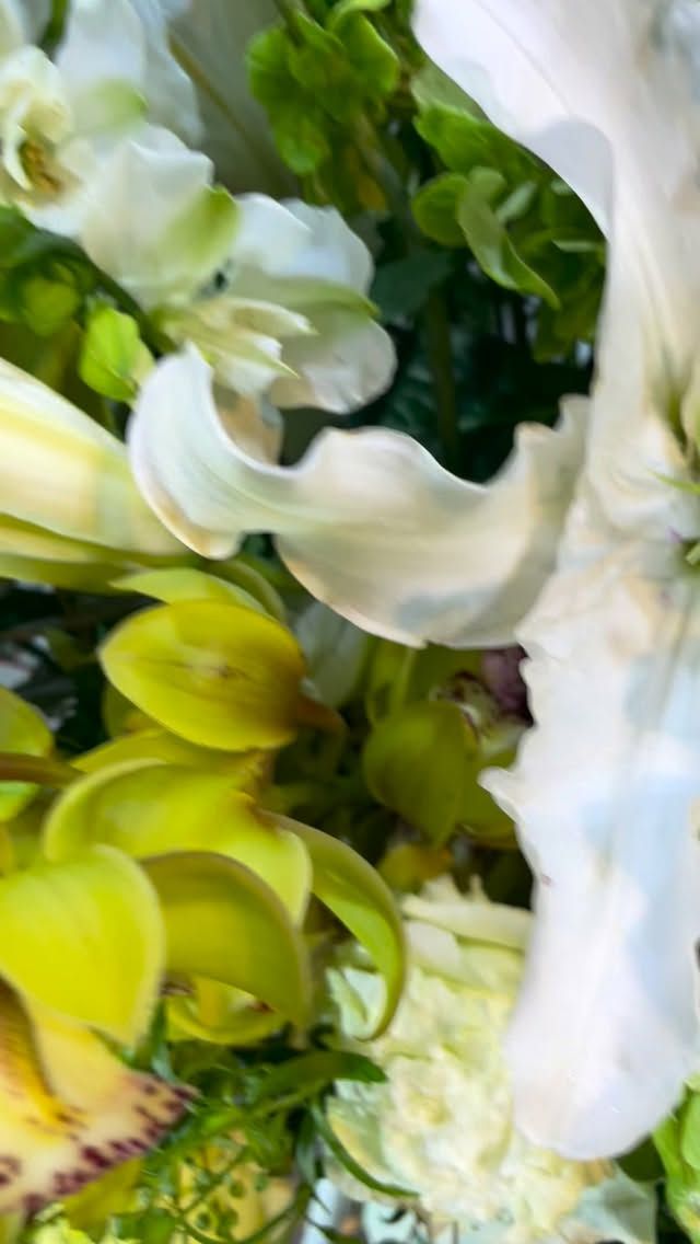 胡蝶蘭はじめ、様々なアイテムをご用意してお客様をお待ちしております。 #flowers#flowerarrangement#flowermagic
#floraldesign#flowersloversflowerpower
floristflowerstagram