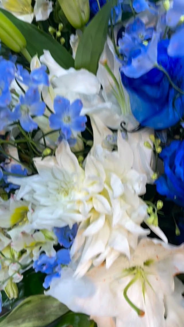 胡蝶蘭はじめ、様々なアイテムをご用意してお客様をお待ちしております。 #flowers#flowerarrangement#flowermagic
#floraldesign#flowersloversflowerpower
floristflowerstagram