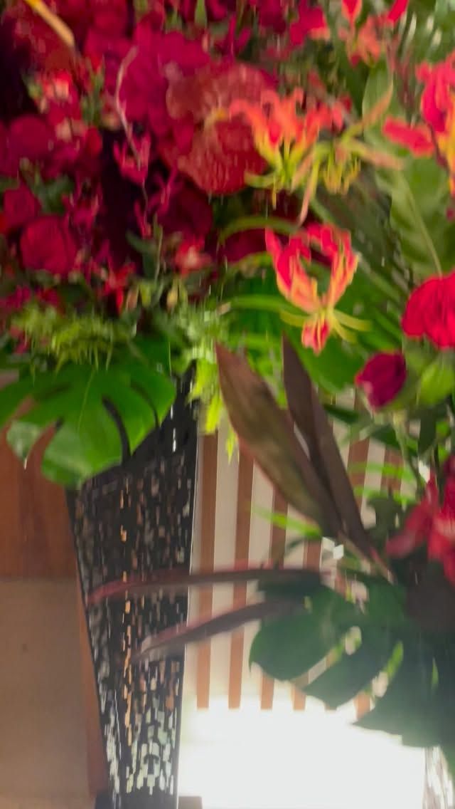胡蝶蘭はじめ、様々なアイテムをご用意してお客様をお待ちしております。 #flowers#flowerarrangement#flowermagic
#floraldesign#flowersloversflowerpower
floristflowerstagram