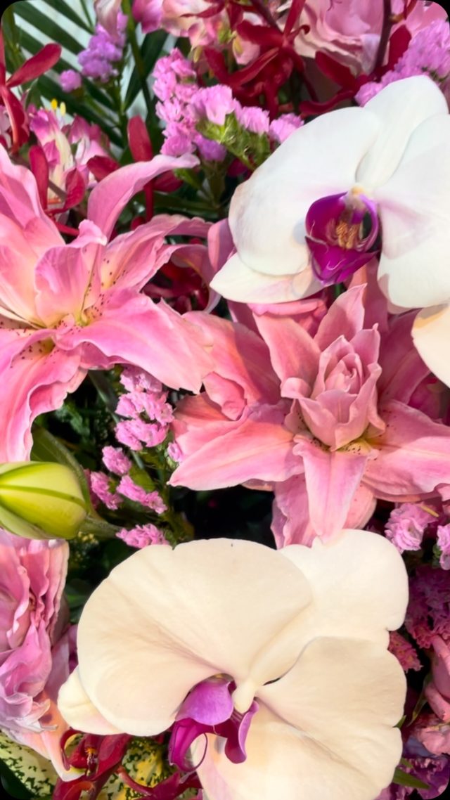 胡蝶蘭タグ
#胡蝶蘭
#phalaenopsisorchid
#phalaenopsis 
#gift 
#花屋