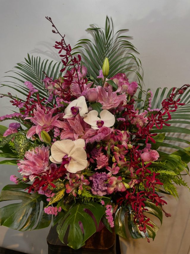 胡蝶蘭タグ
#胡蝶蘭
#phalaenopsisorchid
#phalaenopsis 
#gift 
#花屋