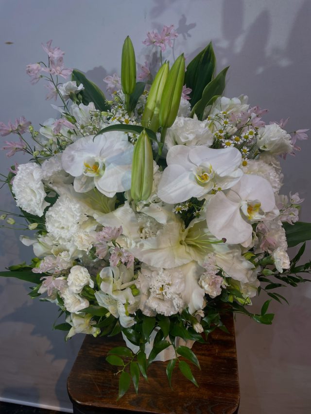 スタンドタグ
#arrangement 
#flowerarrangement 
#gift 
#スタンド花
#お祝い花