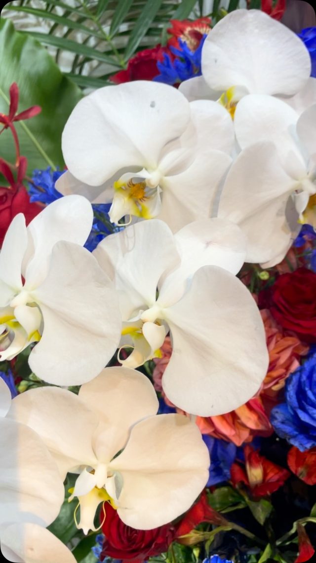 #arrangement 
#flowerarrangement 
#gift 
#送別
#花屋