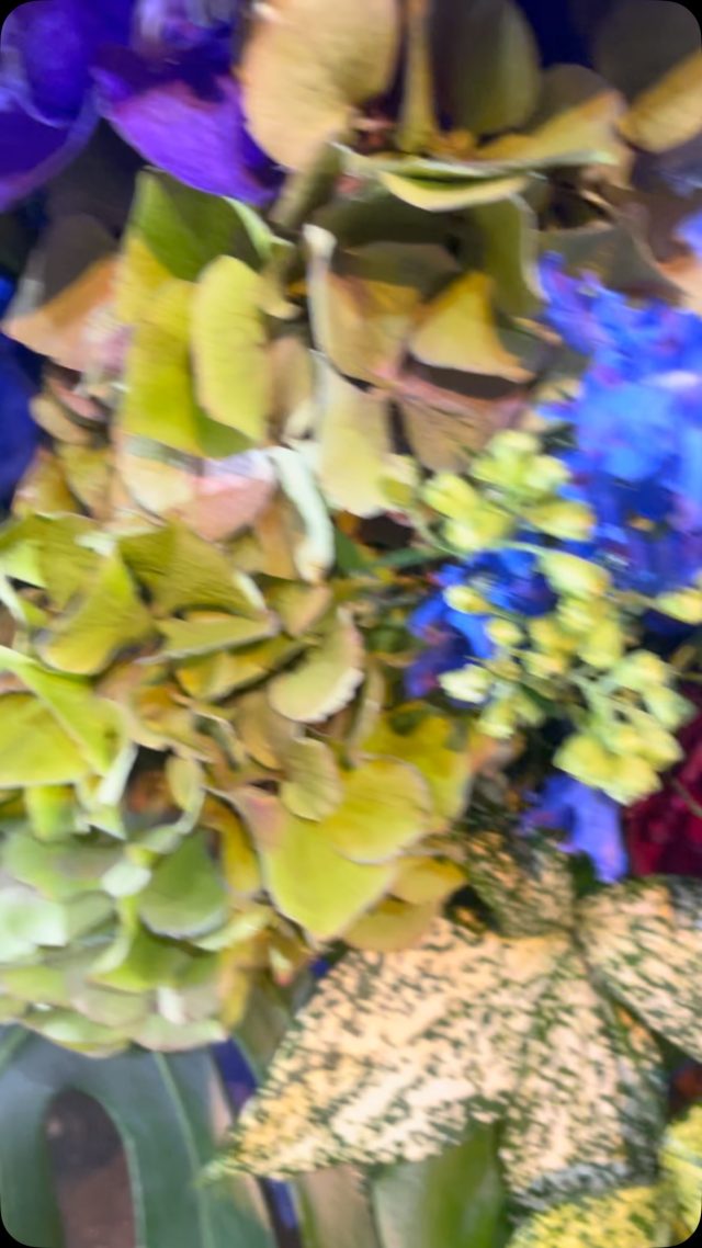 #arrangement 
#flowerarrangement 
#gift 
#お祝い花 
#花屋
