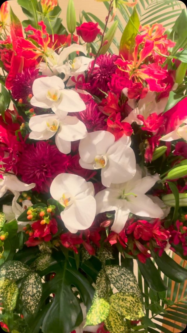 #arrangement 
#flowerarrangement 
#gift 
#お祝い花 
#花屋