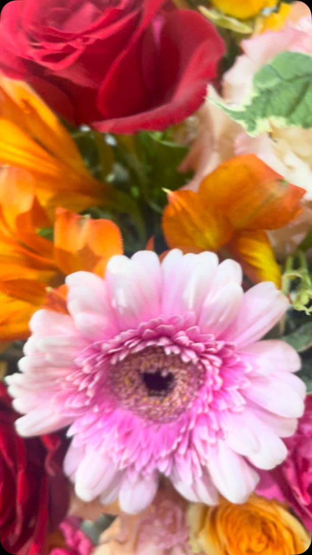 #arrangement 
#flowerarrangement 
#gift 
#お祝い花 
#花屋