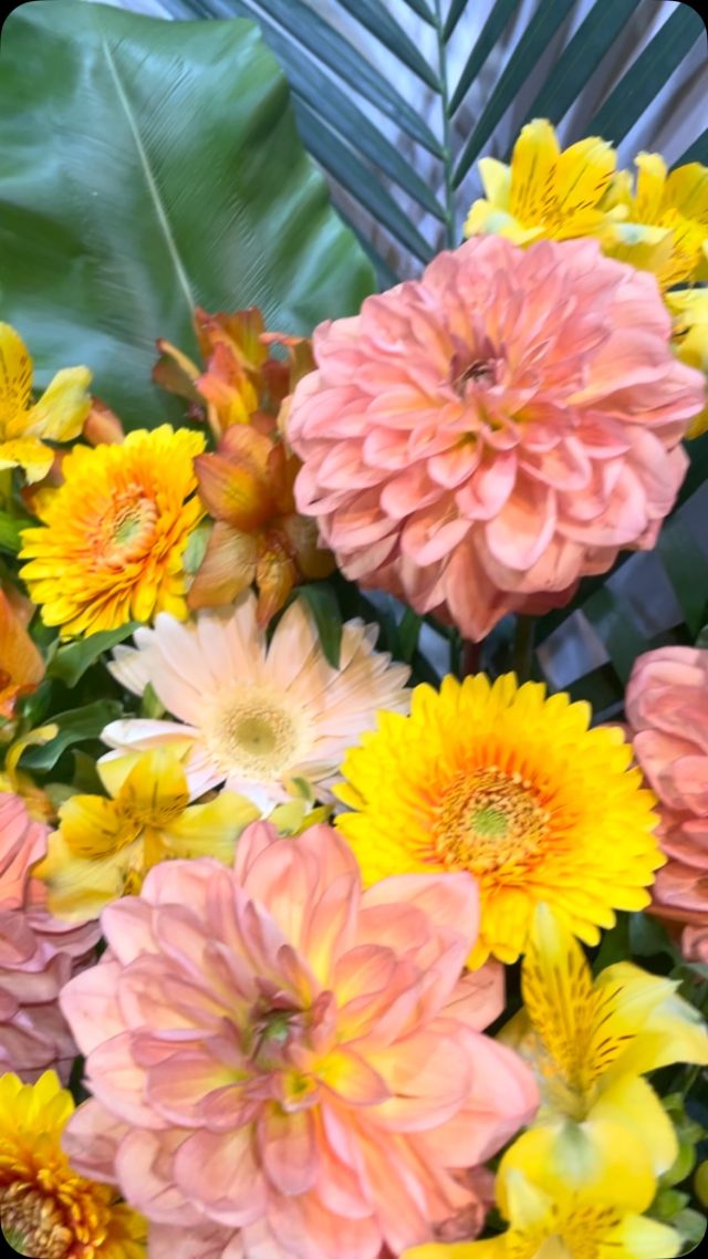 スタンドタグ
#arrangement 
#flowerarrangement 
#gift 
#スタンド花
#お祝い花