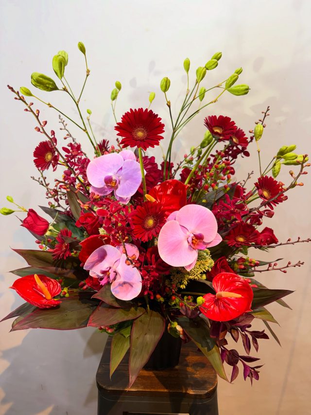 #arrangement 
#flowerarrangement 
#gift 
#お祝い花 
#花屋