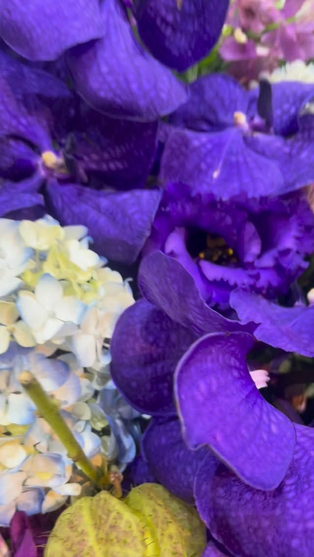 #arrangement 
#flowerarrangement 
#gift 
#スタンド花
#お祝い花